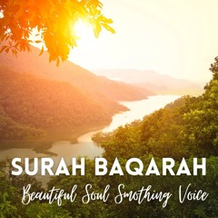 Surah Baqarah Beautiful Voice Soul Smoothing and relaxing voice.mp3