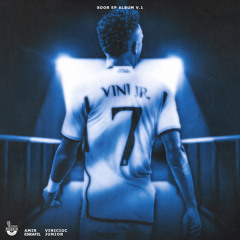 Vinisius Jr