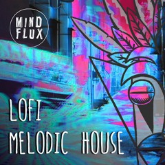 Lofi Melodic House