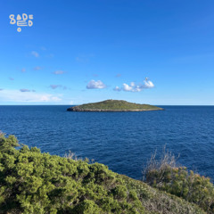 Open Sesame 065 - Sadeedo
