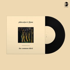 Phlocalyst & Flynn - Grains (Vinyl order in description)