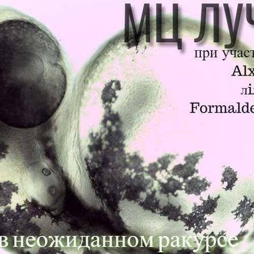Мц Лучник - В неожиданном ракурсе (Round 5)