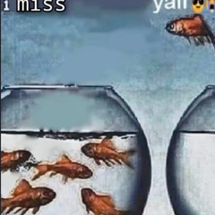 undrgrrnd