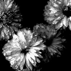 Про і для її (СУЧАСНИЙ УКРАЇНСЬКИЙ ЛІРИЧНИЙ РЕП ПРО ЛЮБОВ/ХІП ХОП ПРО КОХАННЯ УКРАЇНСЬКОЮ)(DEMO)