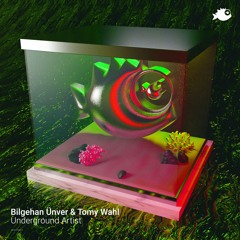 Bilgehan Ünver & Tomy Wahl - "Underground Artist" (Original Mix)