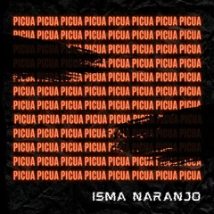 PICUA (Free Download)