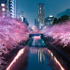 Blossom Within