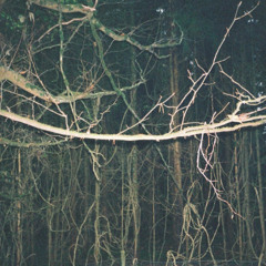 Northfield w/ Clarity & Mackenzie: 26th November '25