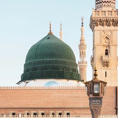 روضة الهادي نبينا تفرح القلب الحزين
