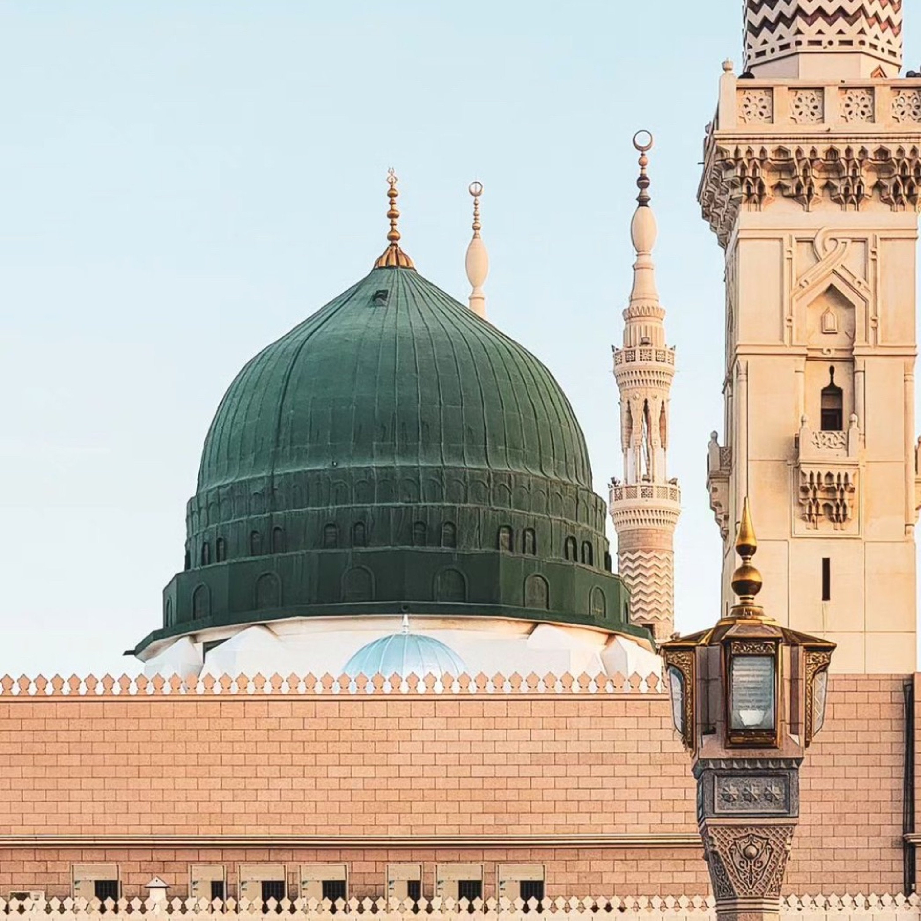 روضة الهادي نبينا تفرح القلب الحزين