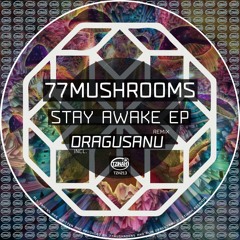 77Mushrooms - Stay Awake (Dragusanu Remix) Preview
