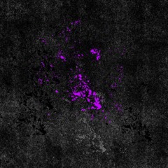 Tony Lozza - Deslumbra (original mix) --FREE DL--