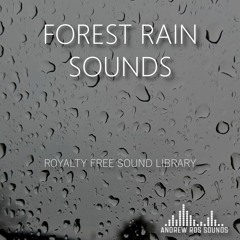 Rain Sounds From Car Trunk - Zoom H5