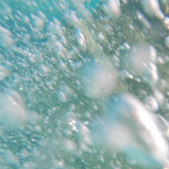 L'anabase (20.11.2025)