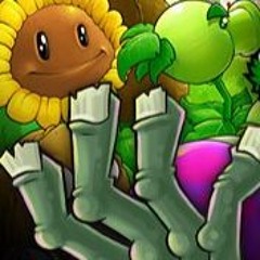 PvZ flow