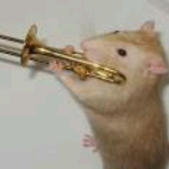 j'aime pas l'autre trompette prod van