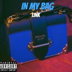 LINK - IN MY BAG