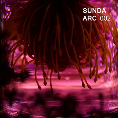 SUNDA ARC 002 [ATS013]