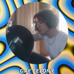 XOXA BLEND 270 - Gay Felony