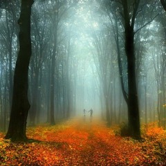 Follow you down