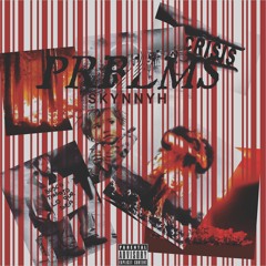 Skynnyh--Prblms 2