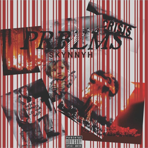 Skynnyh--Prblms 2