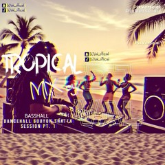 Tropical Mix Party 2K25 by DJ Val