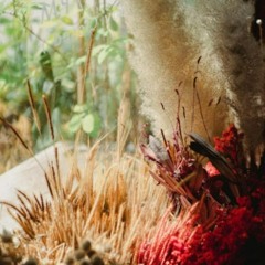 The Windowsill Faerie (feat. Fr. Harris)