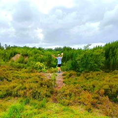 Bar Song Instrumental