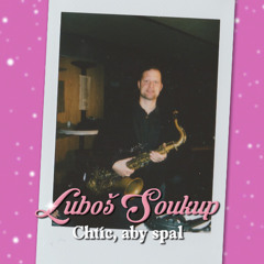 Chtíc, aby spal feat. Luboš Soukup