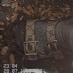 That's Life w/ SP∆C∑M∆RZ