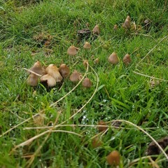 Oracle's of us (Spam Hoolie & K.E.OnTheTrack)