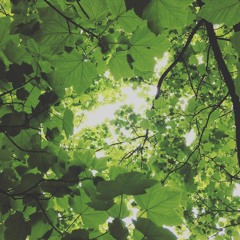 Broken Record [DEMO]