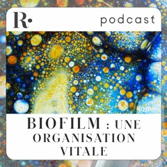 Biofilm : une organisation vitale