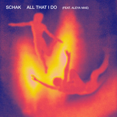 All That I Do (feat. Aleya Mae) (Extended Mix)