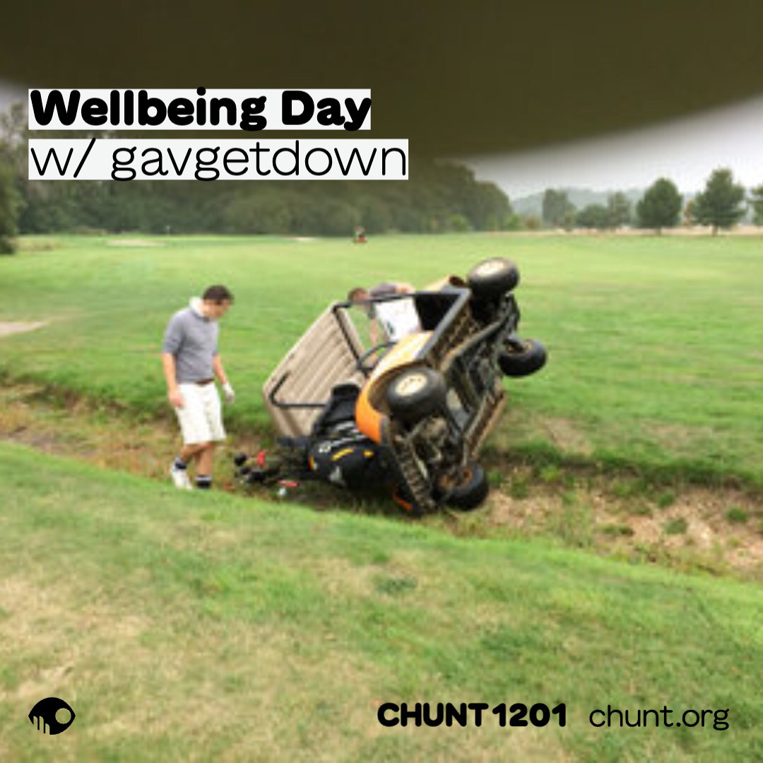 Stream Chunt FM: Wellbeing Day w/gavgetdown by gavgetdown | Listen ...