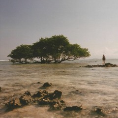 Nostalgic Waves