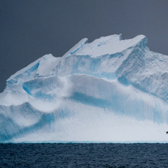 Shadow on the Screen