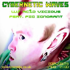 Cybernetic Waves with. PIG IGNORANT 2024-03-23 [Music Box Radio]