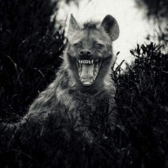 ah+ - kriggah- ze doudou remix (unmastered)