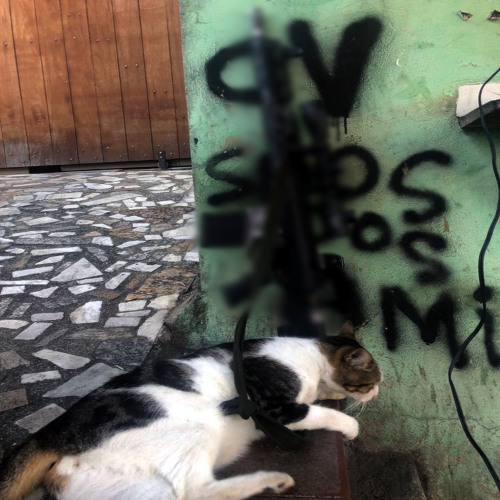 VEM NA RLK DO DOCA - MC RF [ DJ LD  DE ENGENHEIRO ] 2026