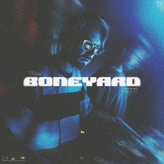 BONEYARD010: BR!NK
