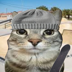 СКЕЙТЕР
