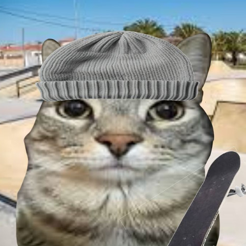 СКЕЙТЕР