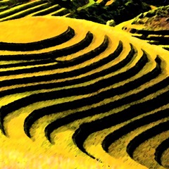 Buathong