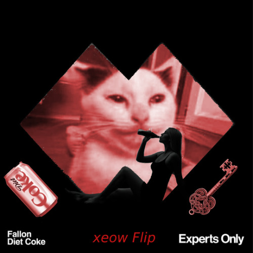 Fallon - Diet Coke (xeow flip)