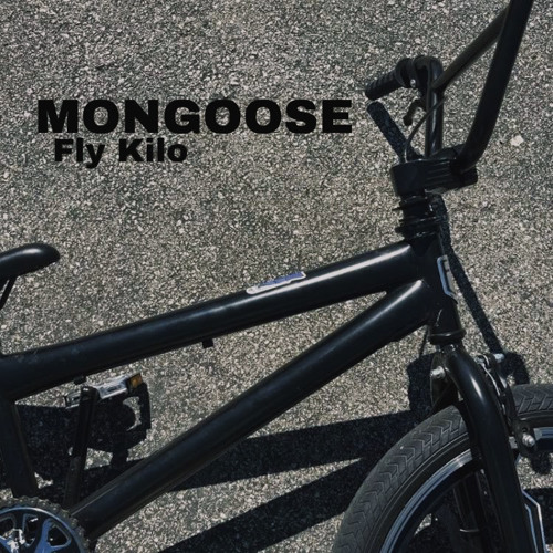 Mongoose by Fly Kilo (prod. by TrakkHead)