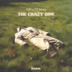 NSH & DT James - The Crazy One