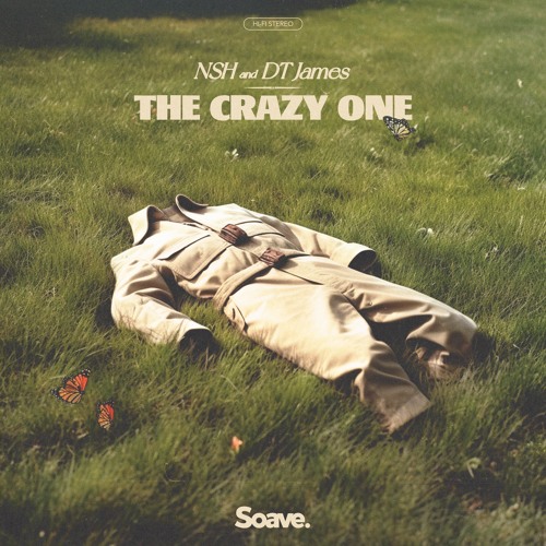 NSH & DT James - The Crazy One