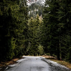 Beyond The Pines (Thrice) Live Cover